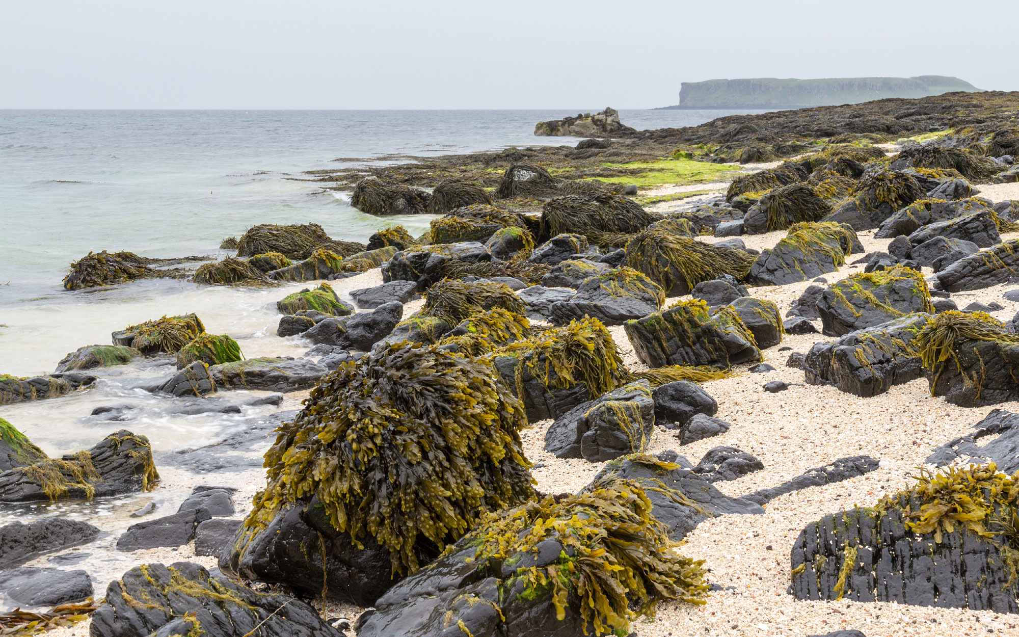 Claigan Coral Beaches (Photo License CC-BY-SA-4.0)